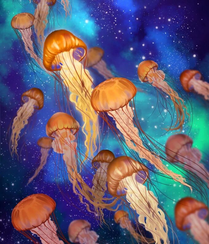 Медузы Фламмо